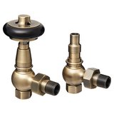 Warwick Antique Brass Thermostatic Radiator Valve Set